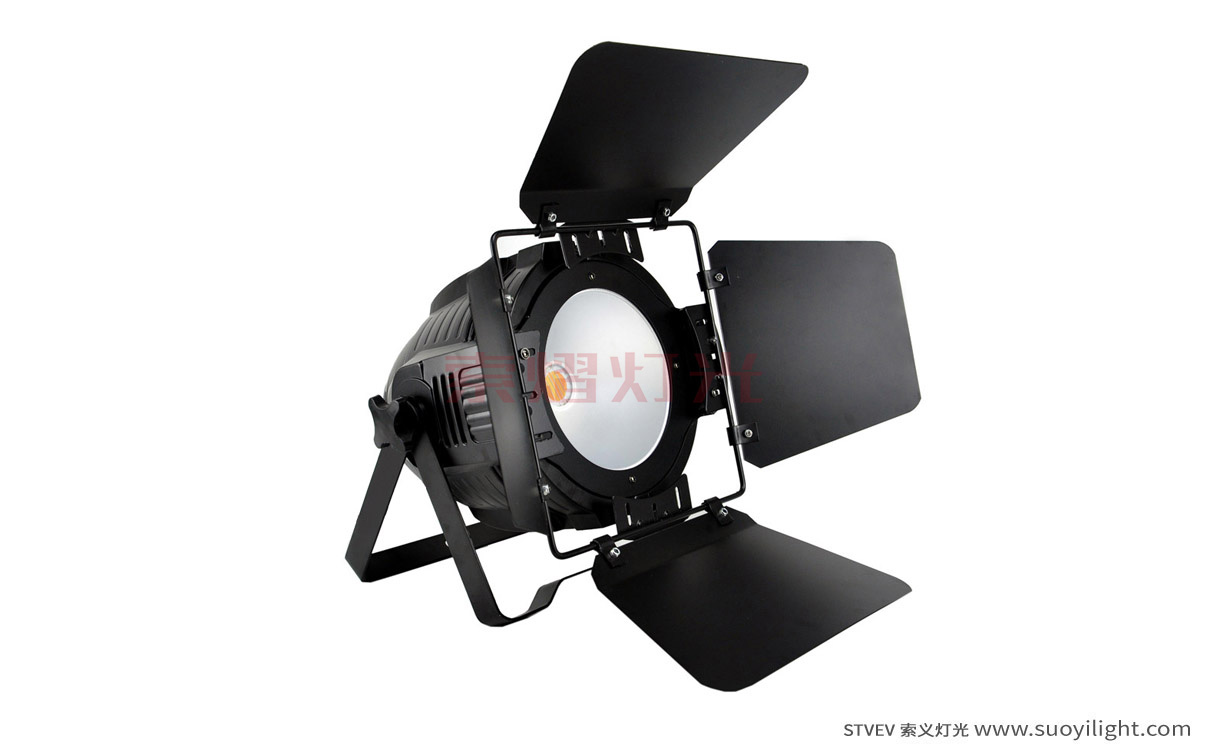 Singapore200W COB LED Par Light