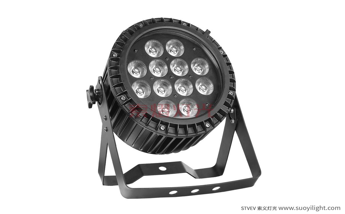 Singapore12*12W 6 in 1 Waterproof LED Par Light