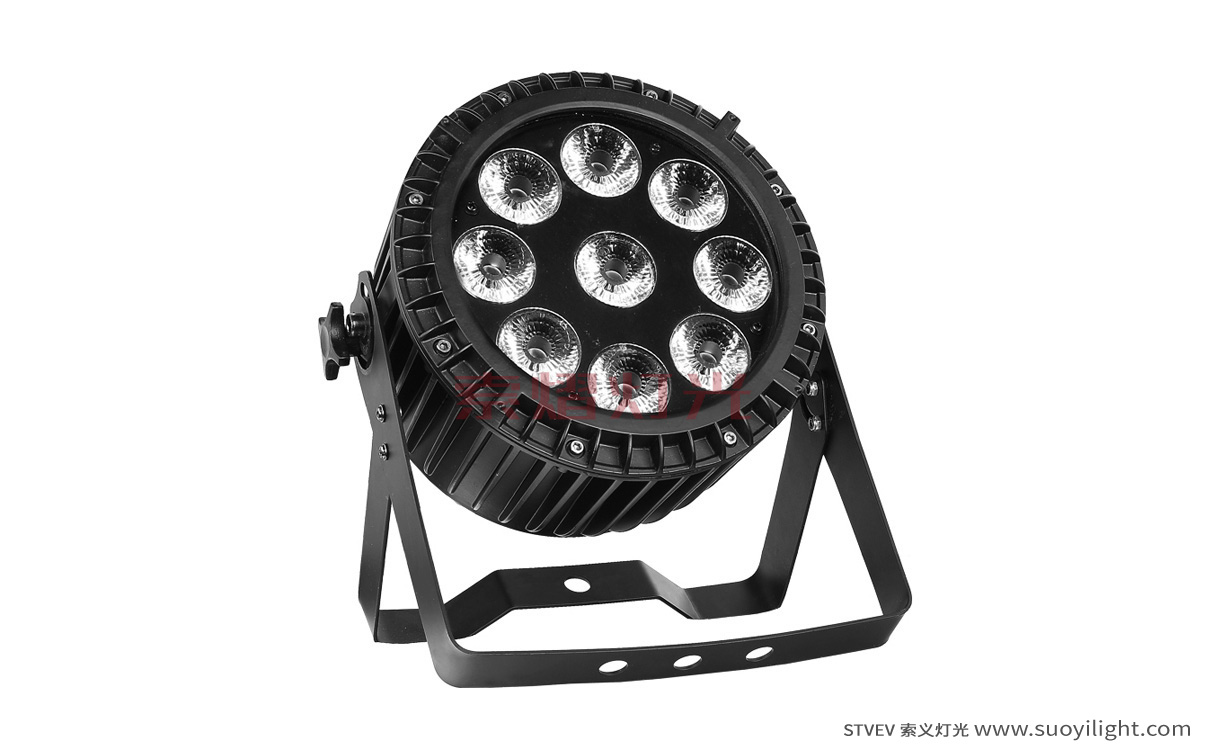Singapore9*12W 4 in 1 Waterproof LED Par Light